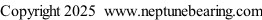 Copyright 2025  www.neptunebearing.com